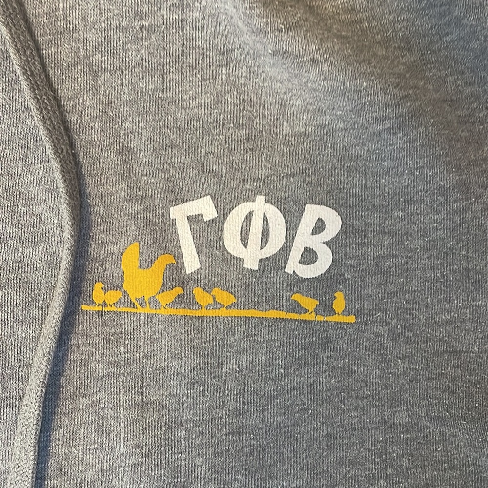 Small Gamma Phi Beta Zip-Up Hoodie - Picture 2 of 6